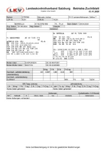 tr�chtige Fleckvieh Kalbin zu verkaufen, beweidet und ruhig